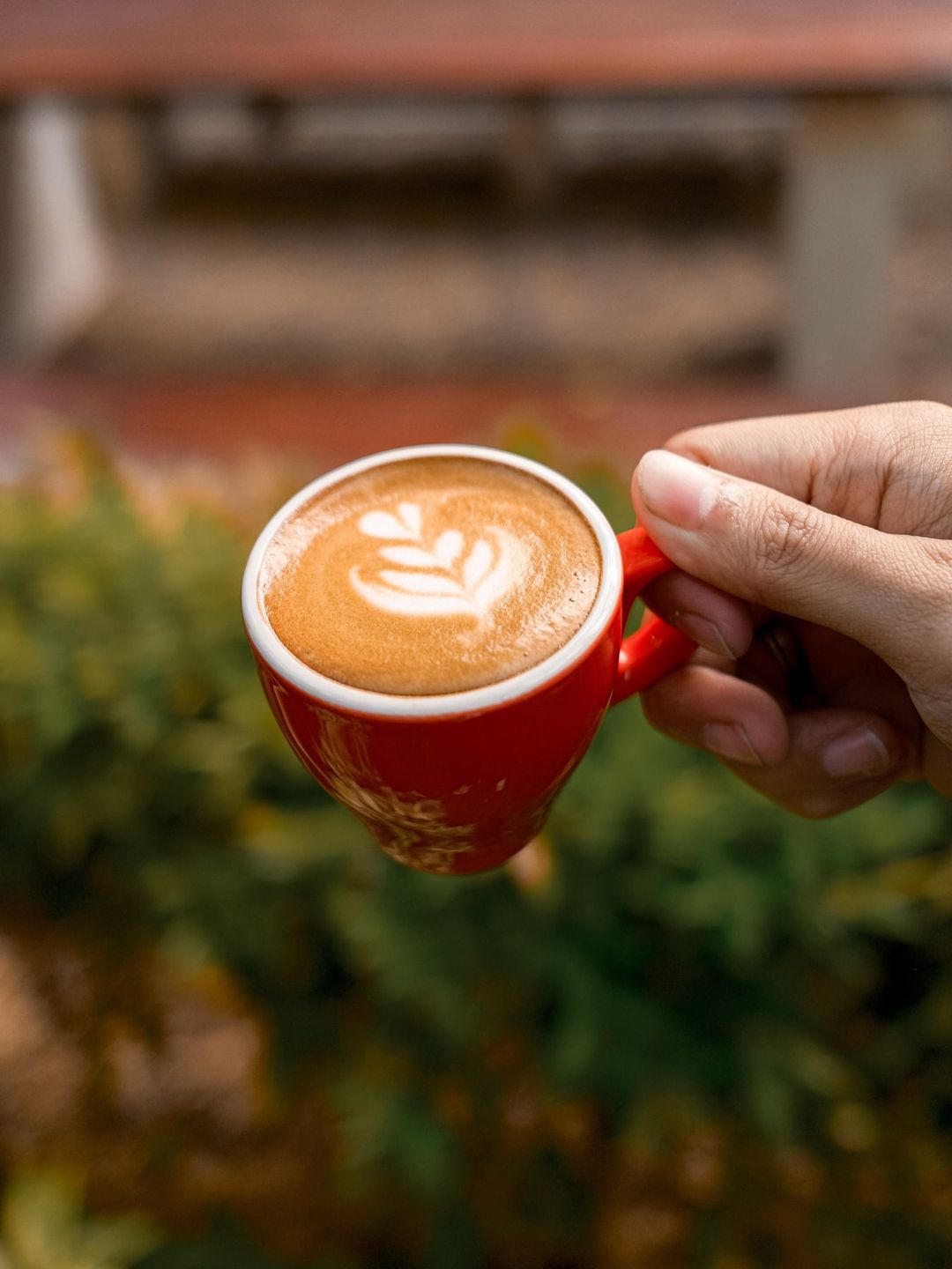 Tangan memegang cangkir merah berisi latte dengan latte art, berlatar tanaman hijau